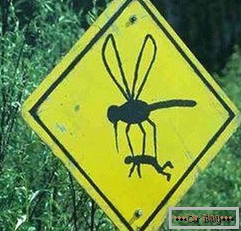 Semne ciudate de trafic de țânțari
