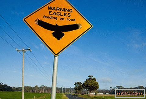 Avertizarea posibilității de a întâlni vulturi pe drum